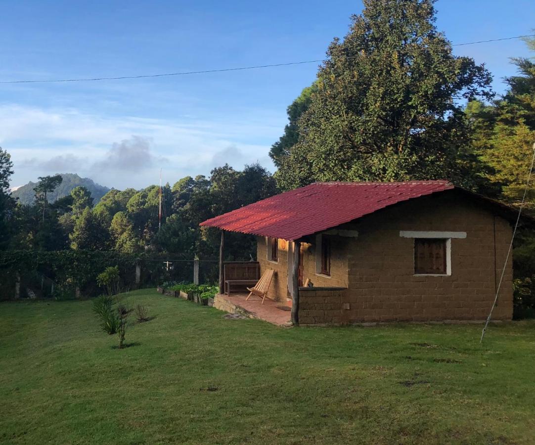 Gaia Nature Hotel San Cristobal de las Casas Luaran gambar