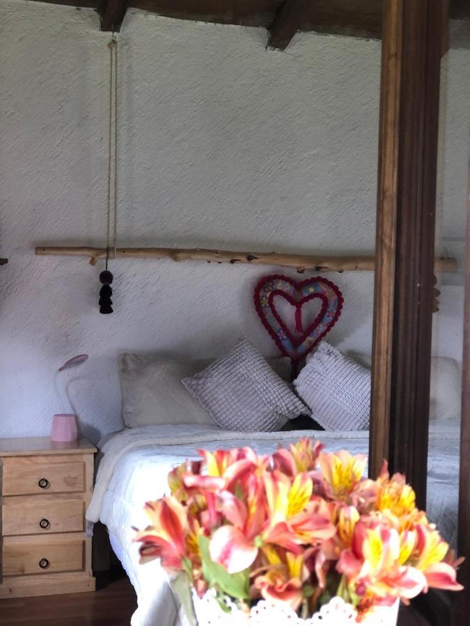 Gaia Nature Hotel San Cristobal de las Casas Luaran gambar