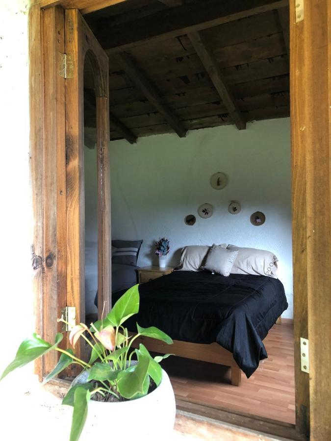 Gaia Nature Hotel San Cristobal de las Casas Luaran gambar