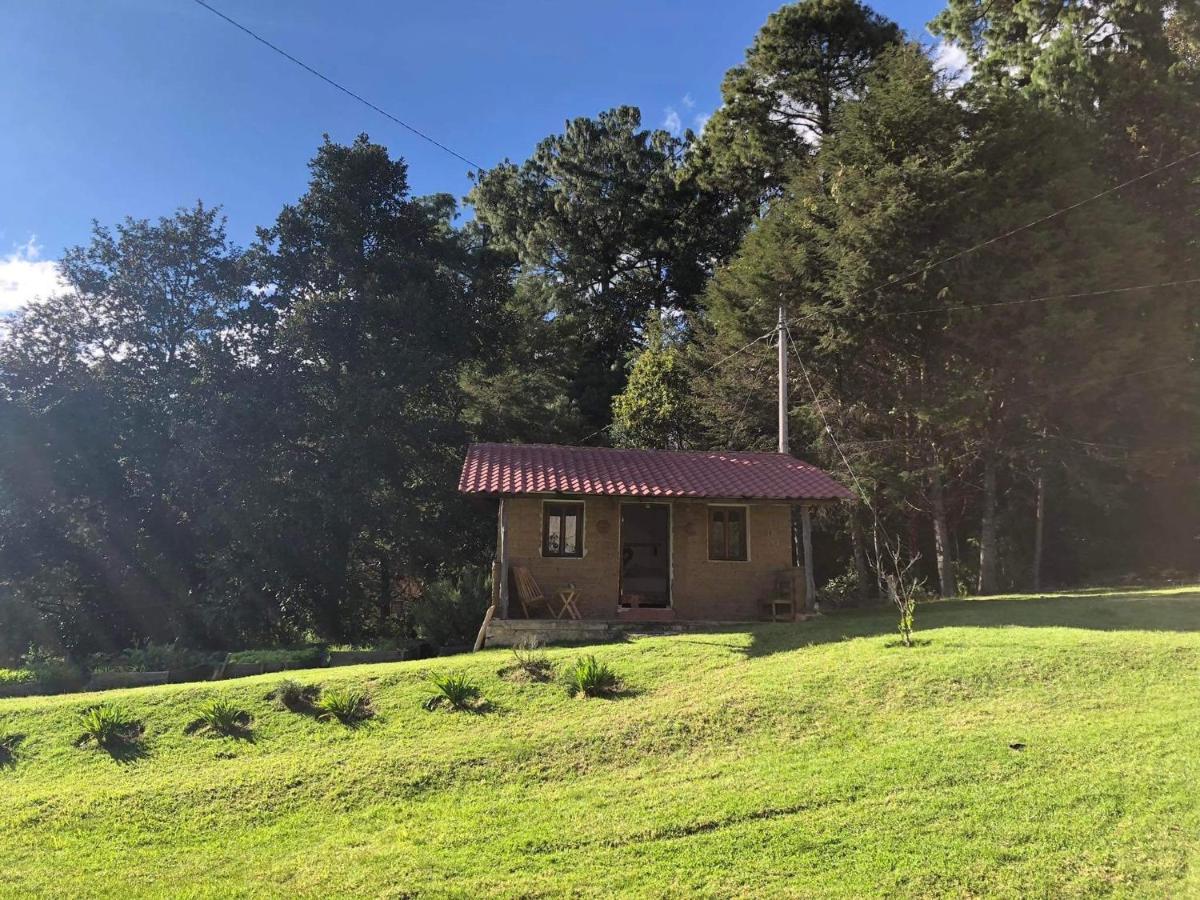 Gaia Nature Hotel San Cristobal de las Casas Luaran gambar