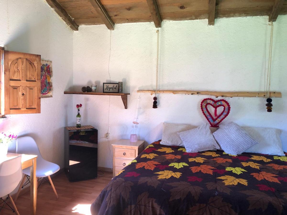 Gaia Nature Hotel San Cristobal de las Casas Luaran gambar